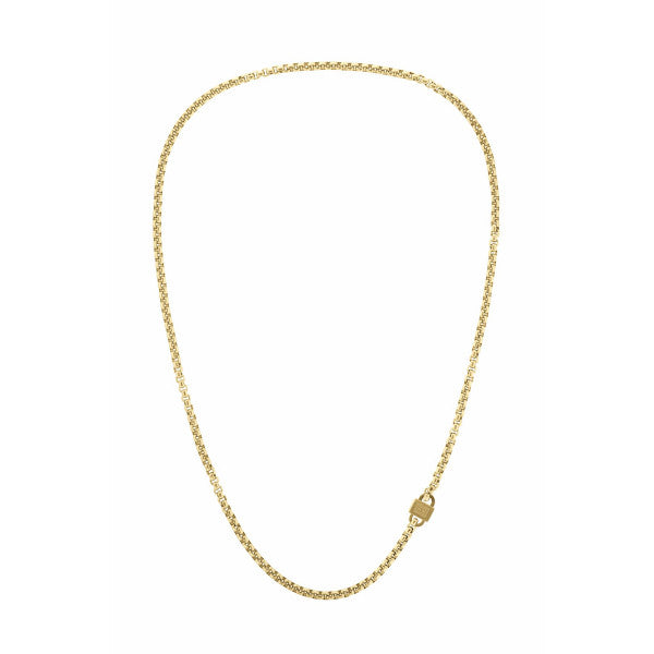 Colar Tommy Hilfiger Chain dourado